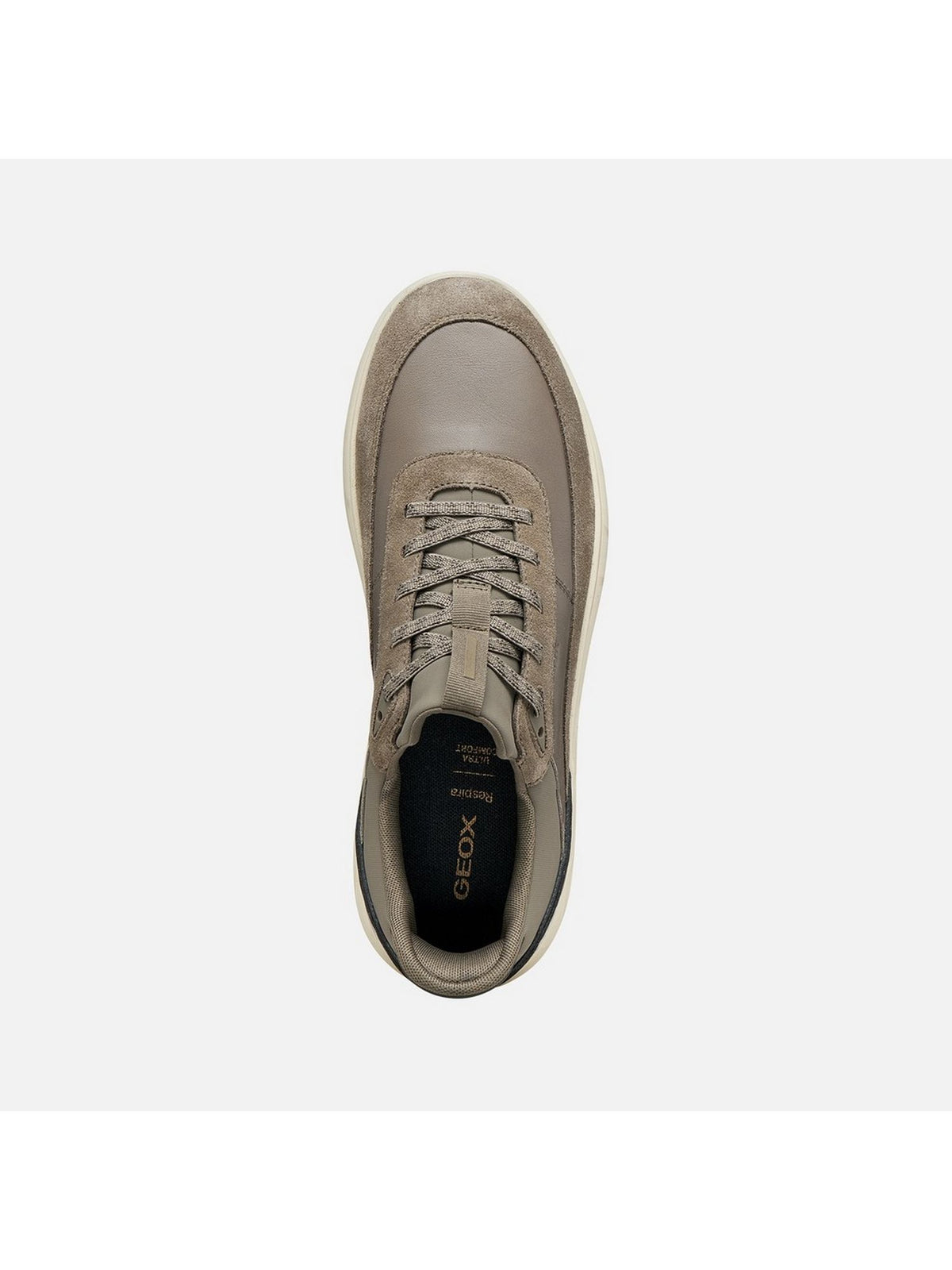 Sneakers GEOX Uomo 