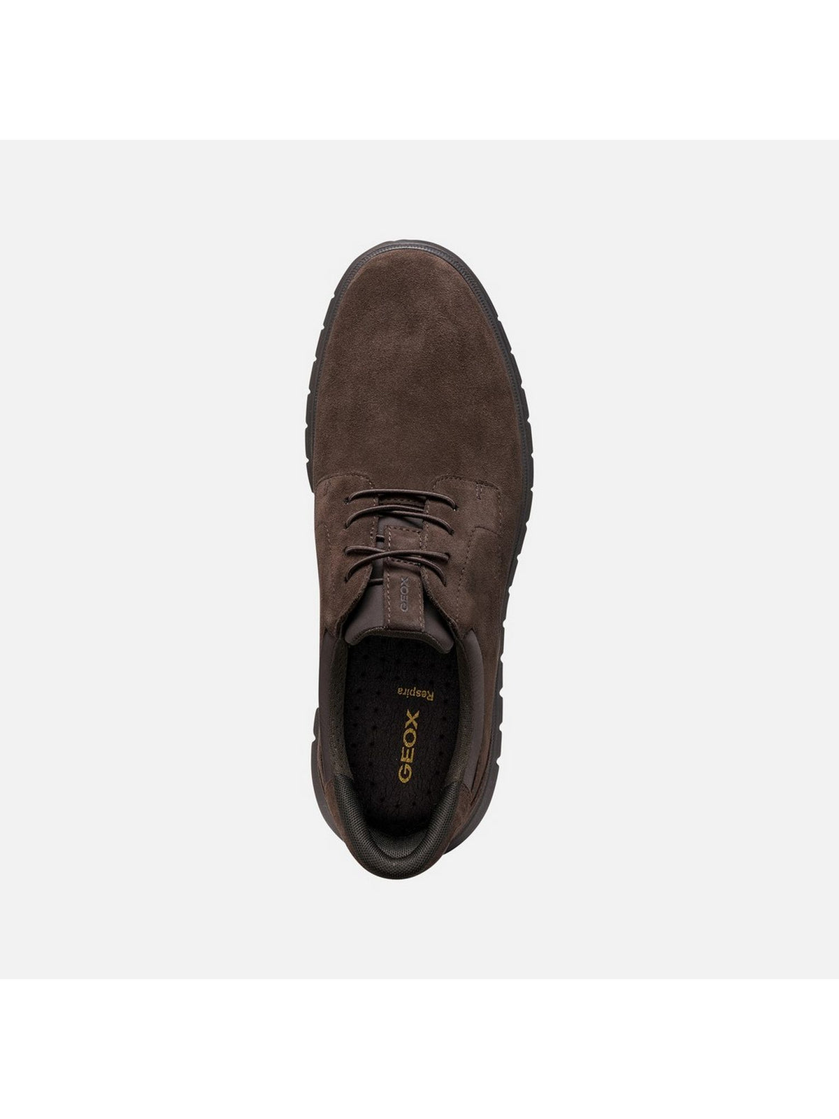 Scarpa GEOX Uomo 