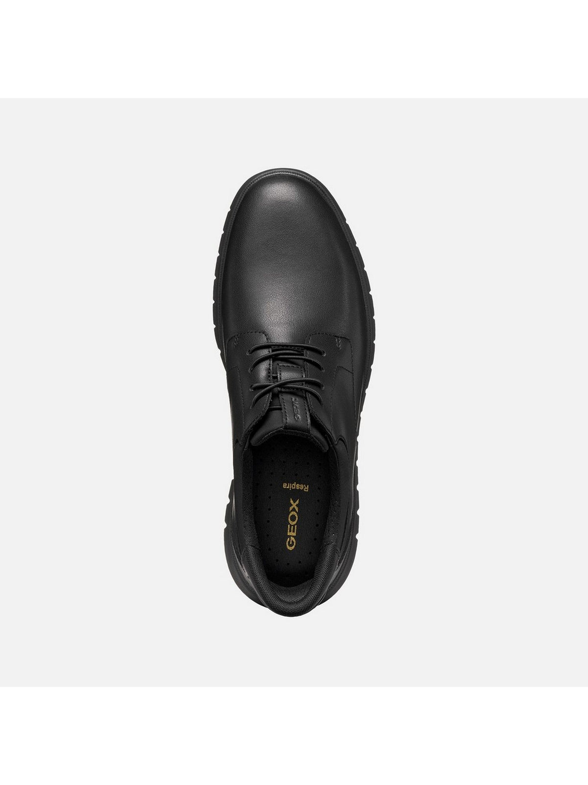 Scarpa GEOX Uomo 