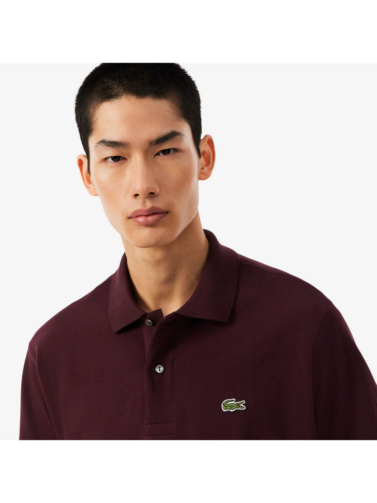 Polo LACOSTE Uomo 