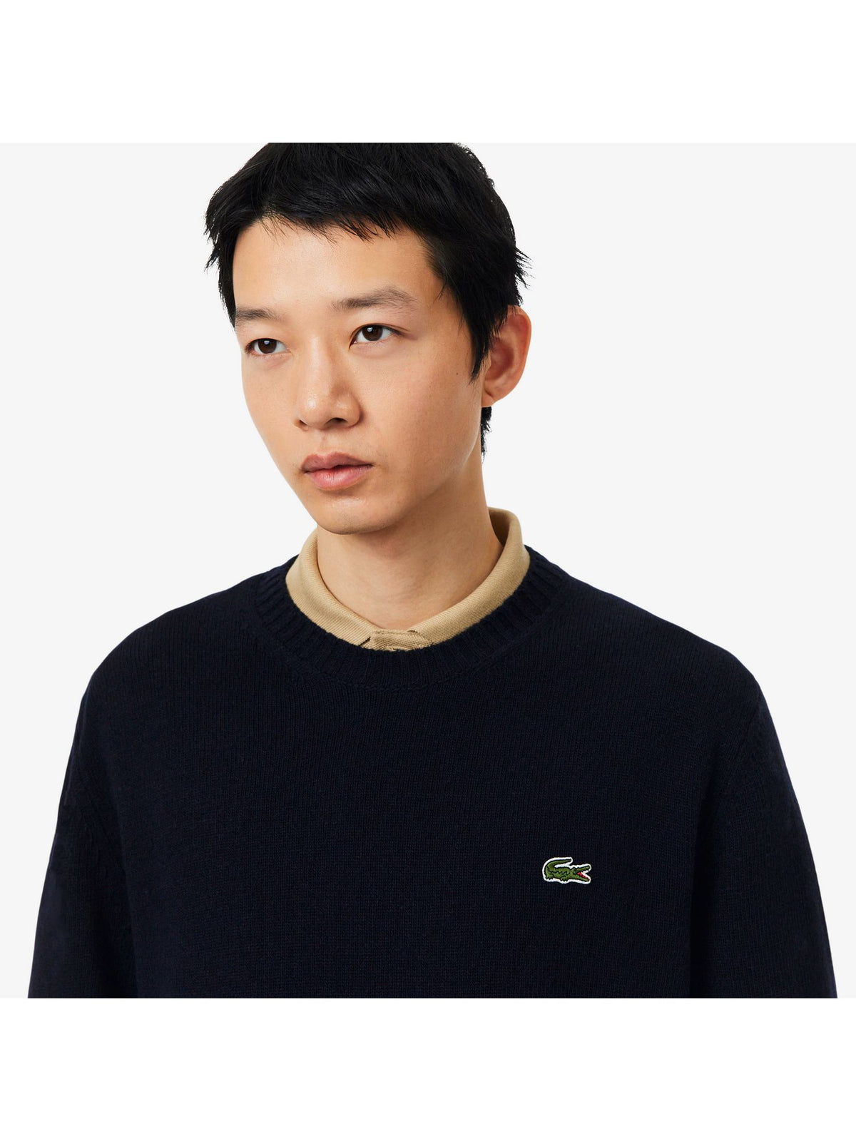 Maglia LACOSTE Uomo 