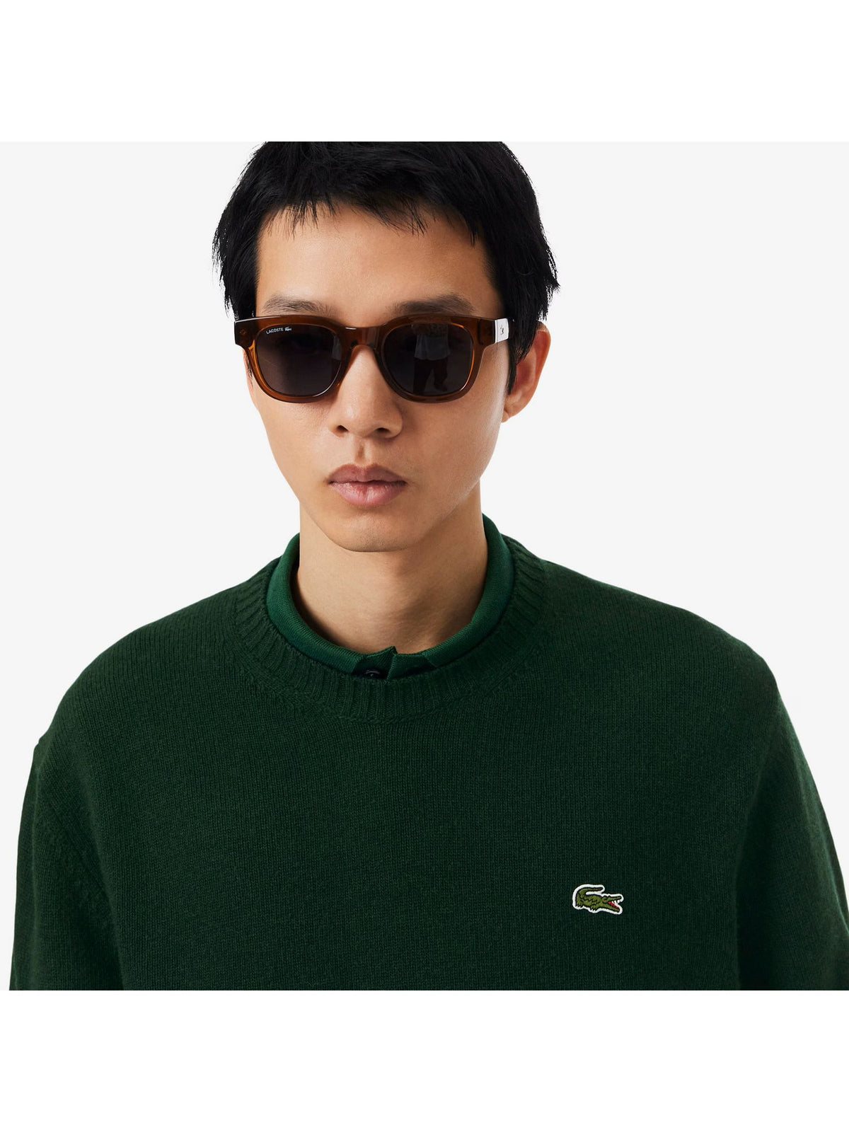 Maglia LACOSTE Uomo 