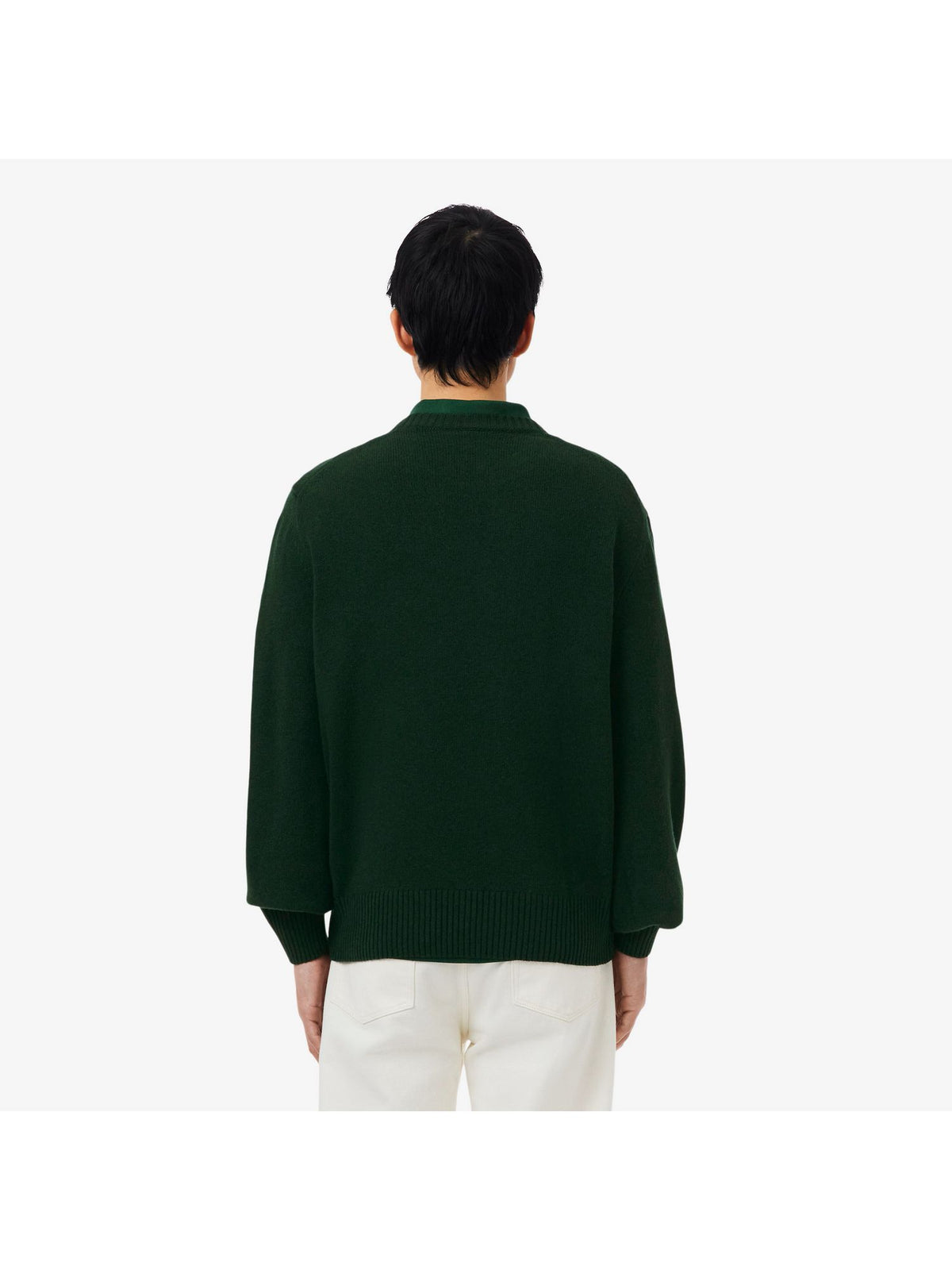 Maglia LACOSTE Uomo 
