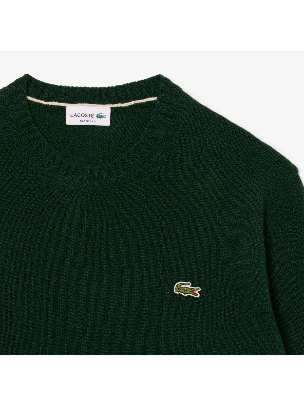 Maglia LACOSTE Uomo 