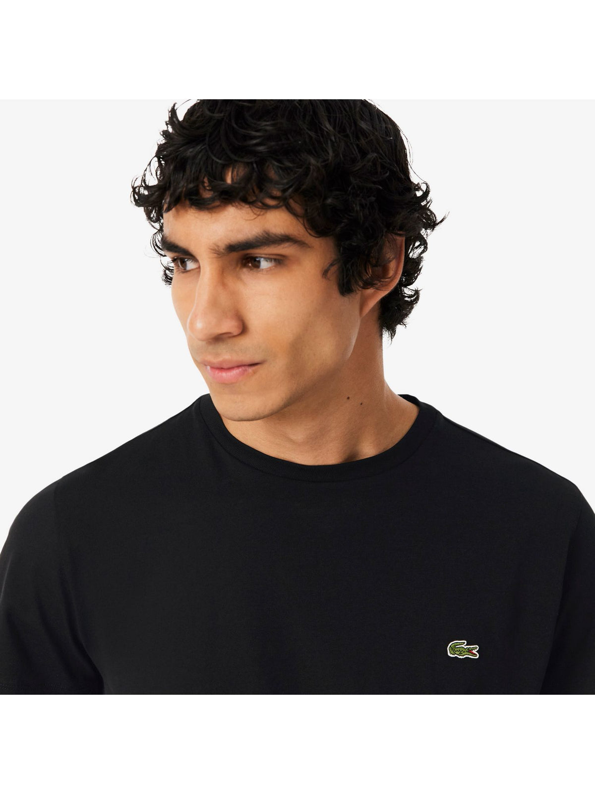 T.shirt LACOSTE Uomo 